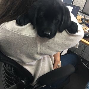 Meet your Posher, Mark